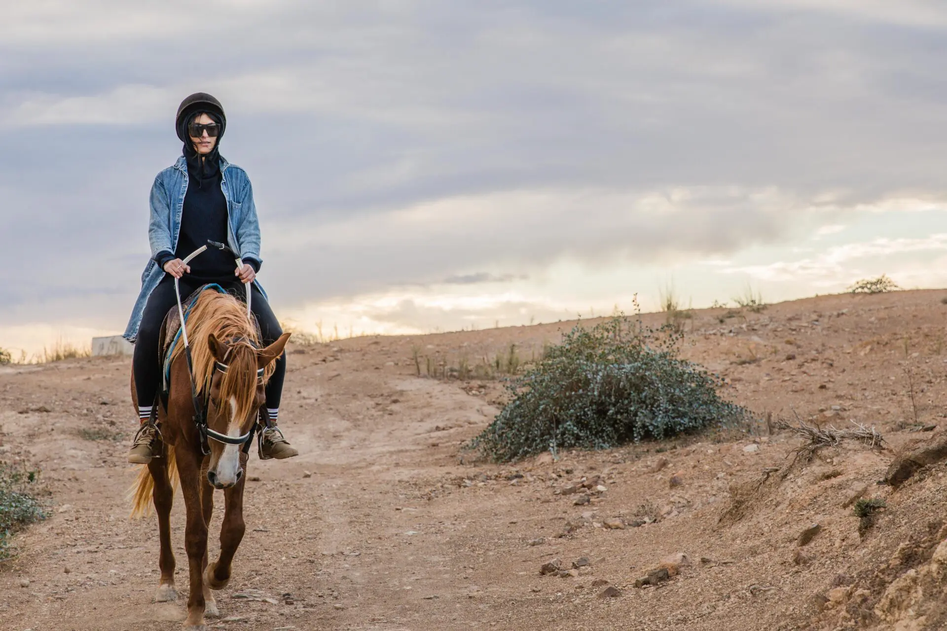 Balade à cheval sur les collines de Sidi Thabet