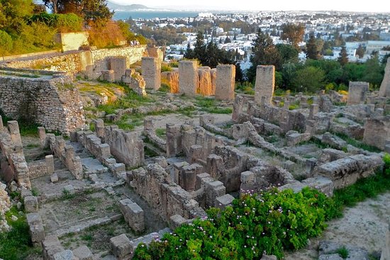 Visite accompagnée du site archéologique de Carthage